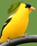 /album/%d9%85%d8%b9%d8%b1%d8%b6%20%d8%a7%d9%84%d8%b5%d9%88%d8%b1/a1111111-30-jpg/